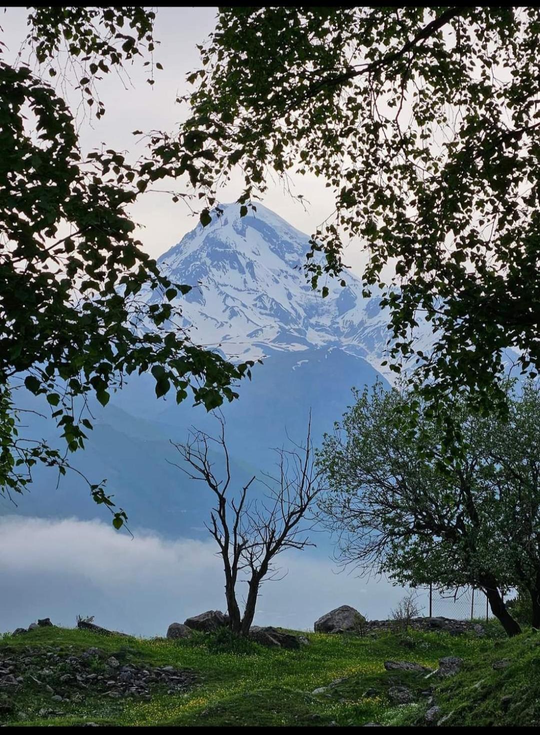 Crystal Kazbegi Hotel ภายนอก รูปภาพ